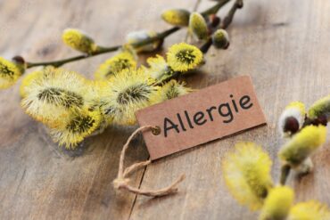 Au mois d’Avril découvres toi d’un fil et manges de saison !